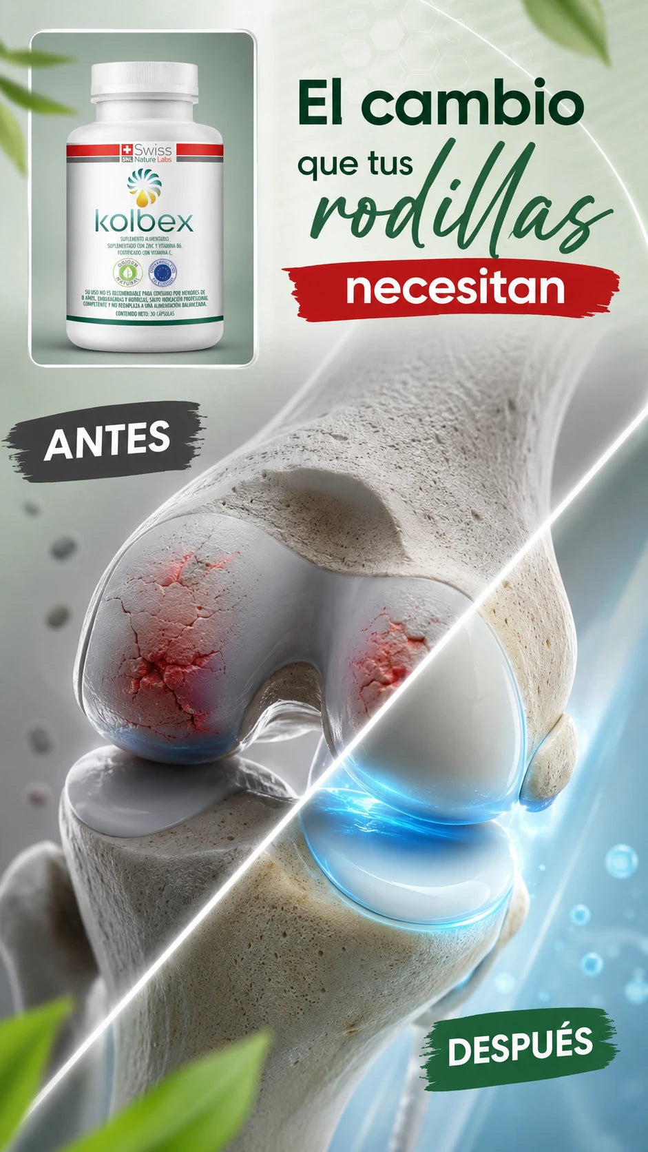 Kolbex Proteína de Caracol + Vitaminas