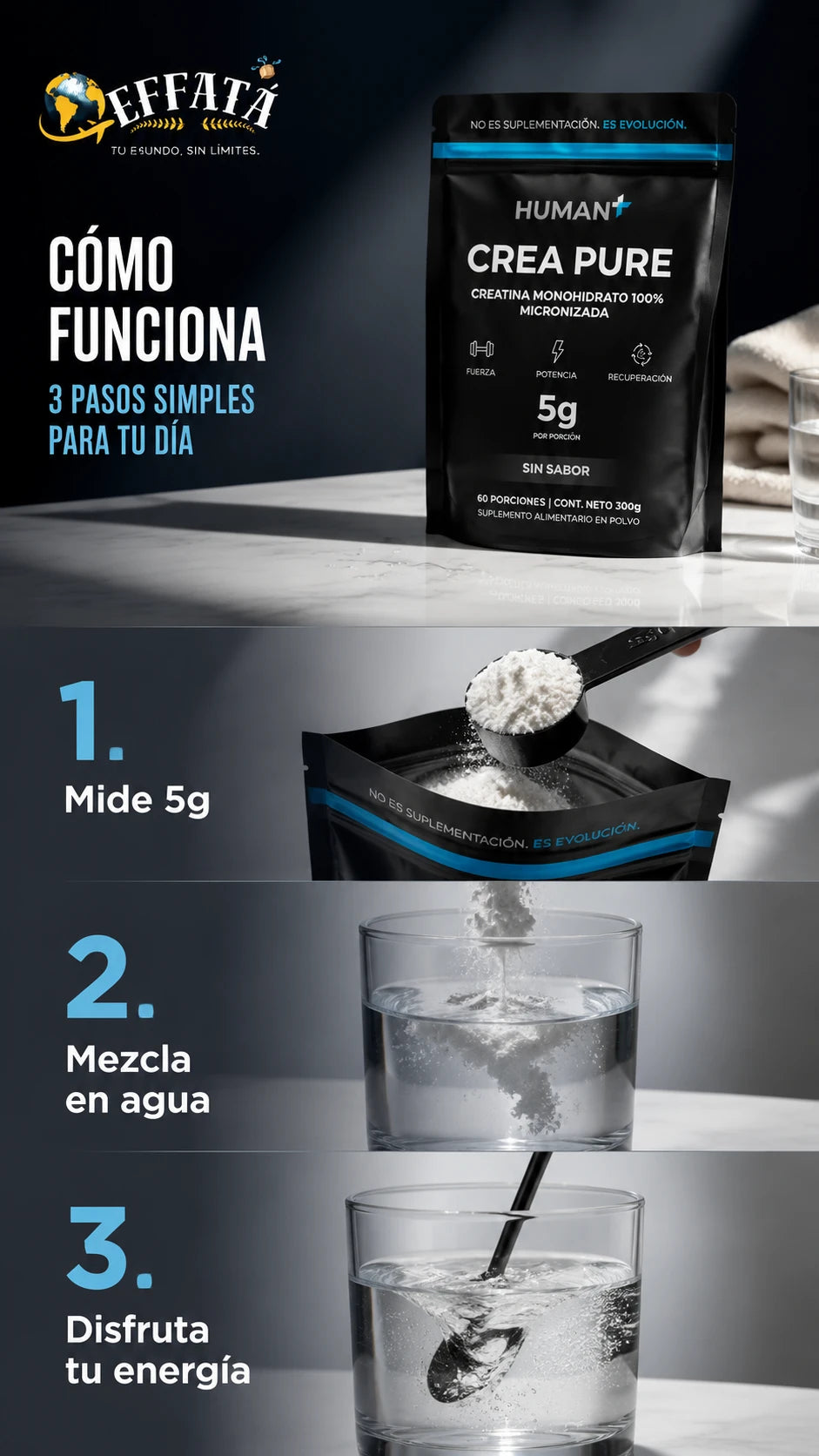 HUMAN+ CREA PURE — CREATINA MONOHIDRATO